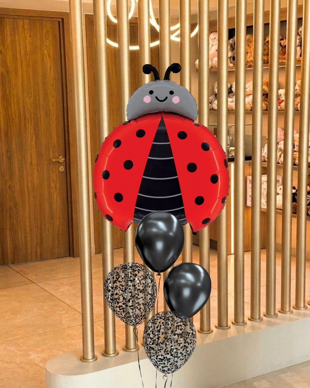 Ladybird Balloons