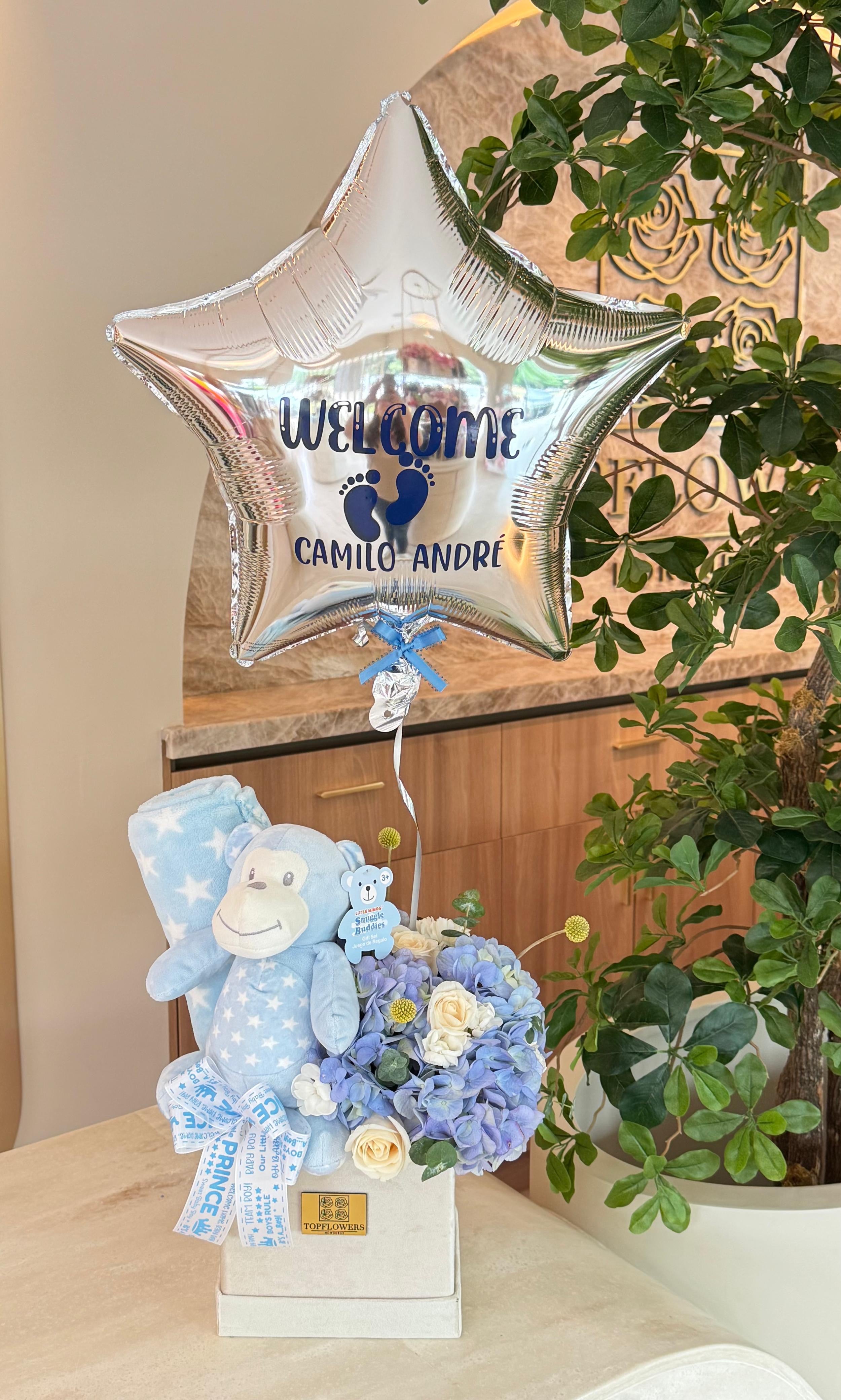 Monkey’s Garden + Balloon