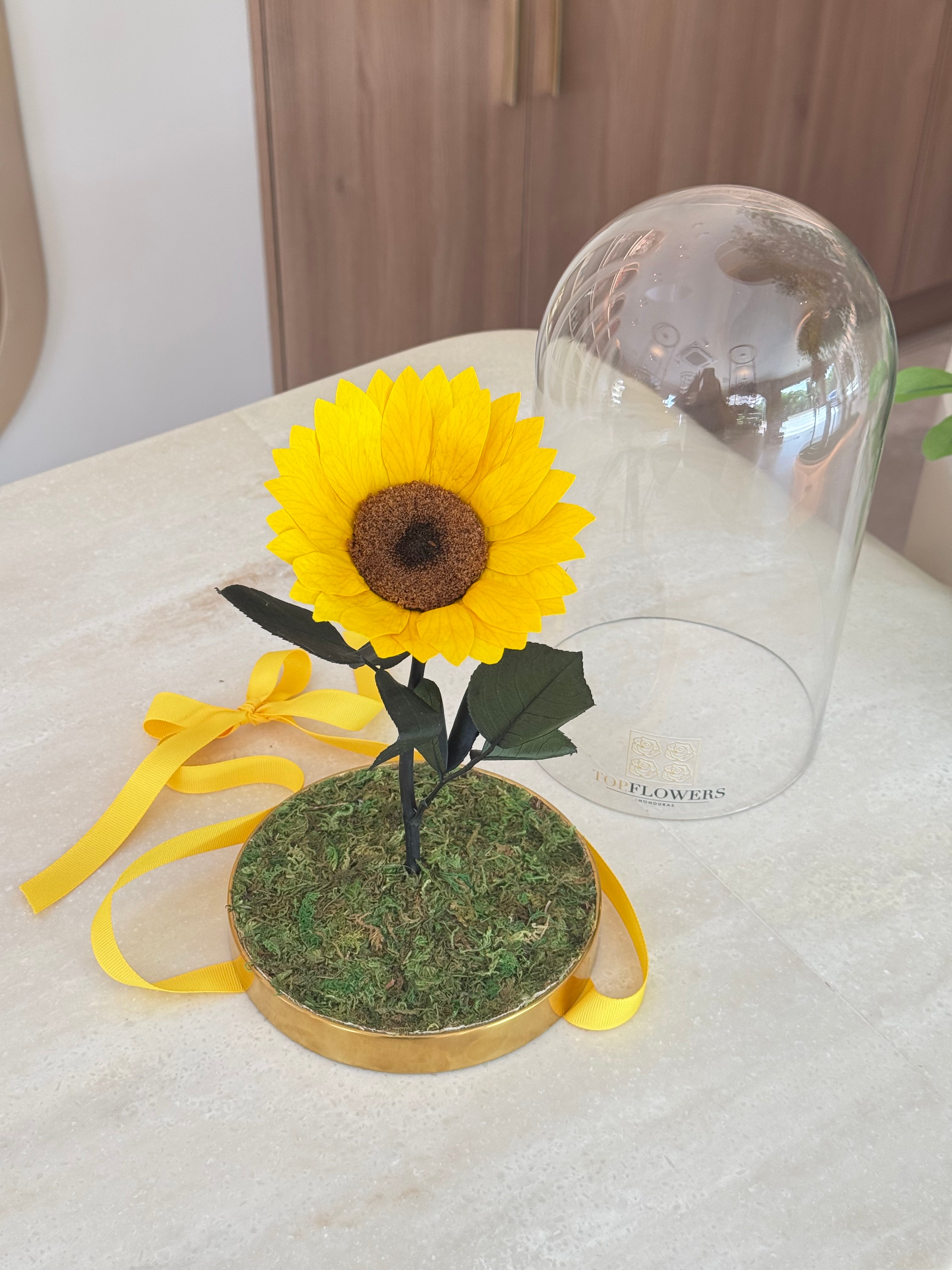 Sunflower Premium