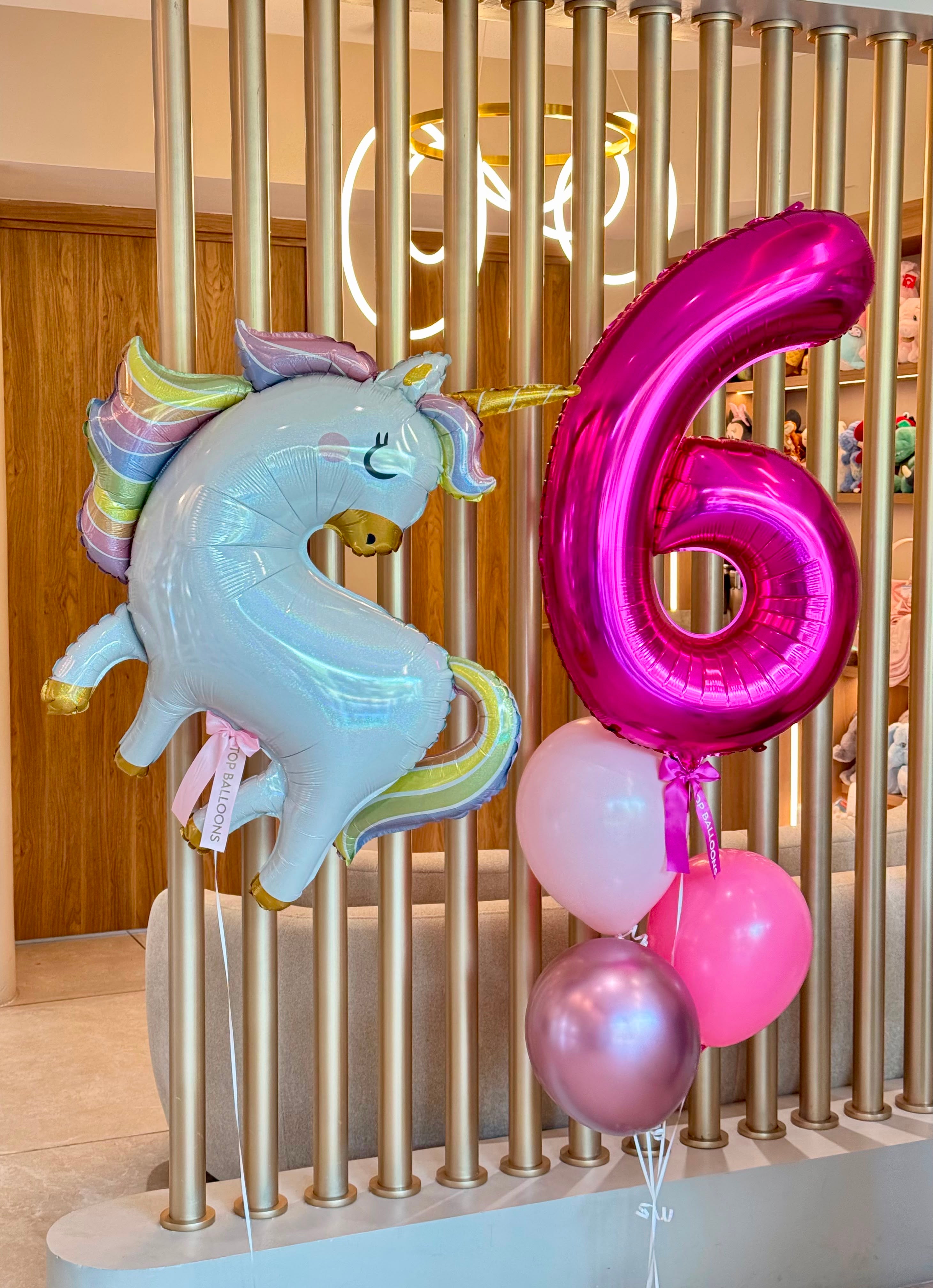 Unicorn Balloon & Number