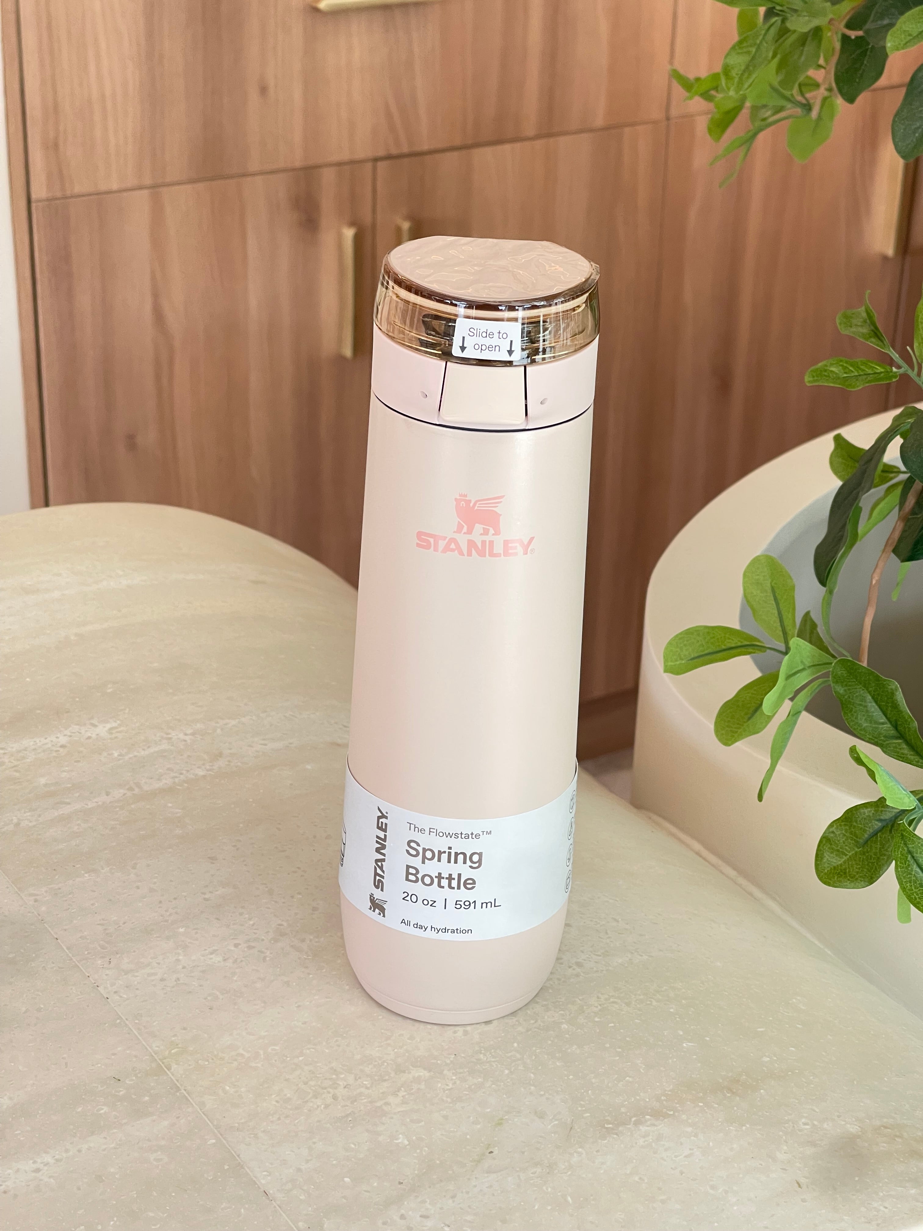 Spring Bottles Pink 20 oz