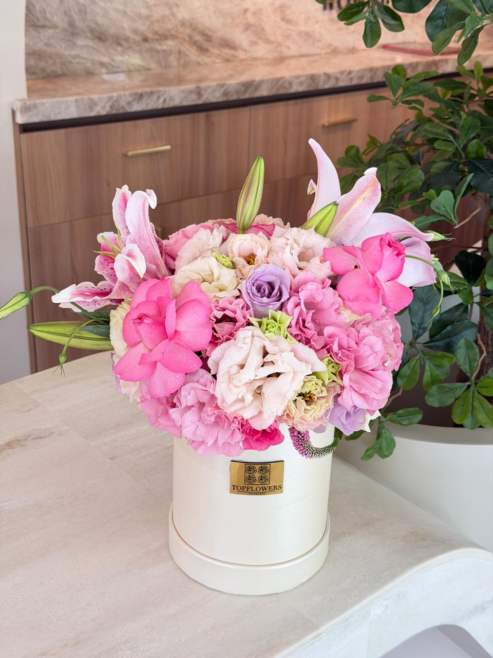 Pink Lily Dream