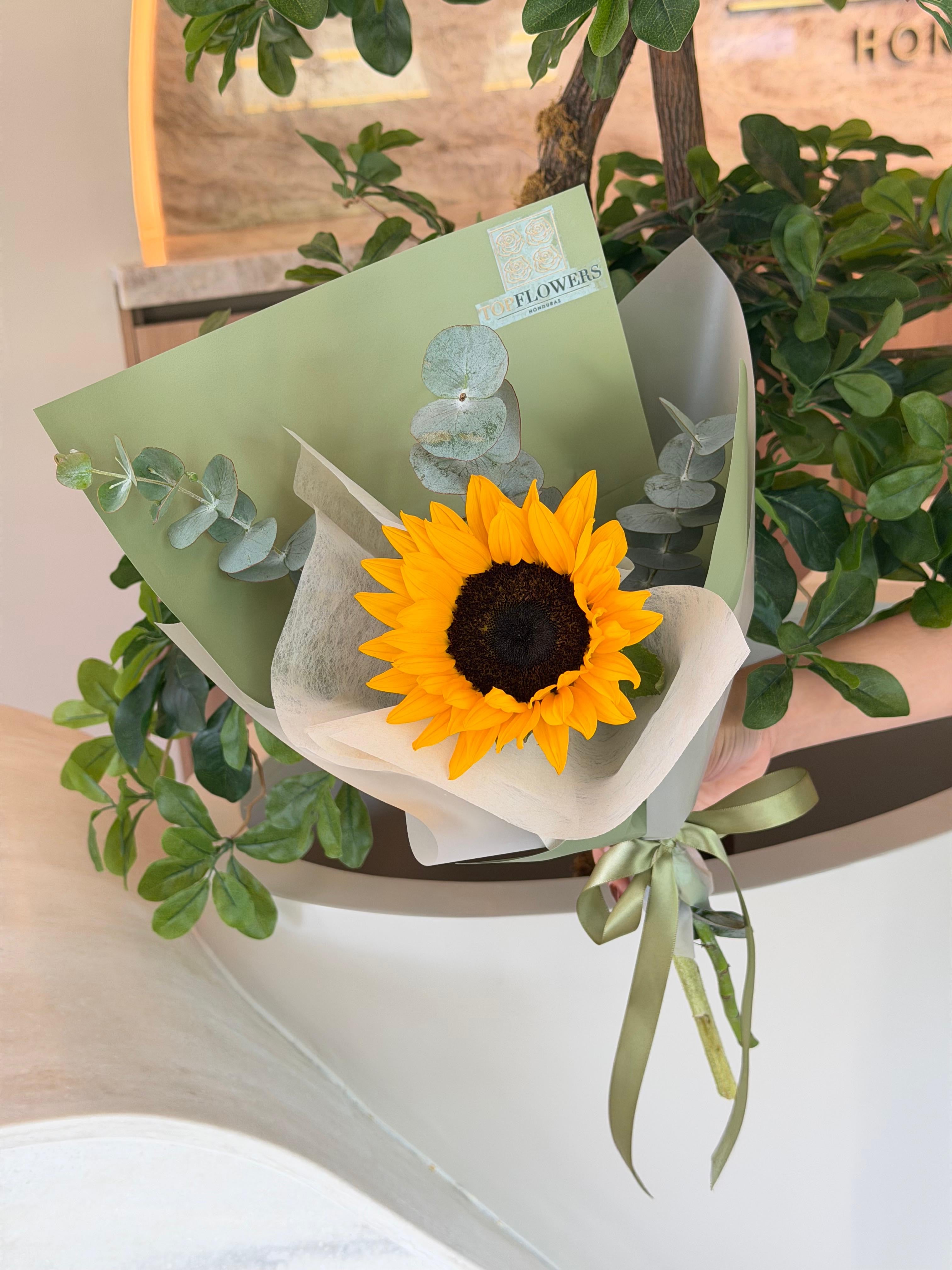 Sunflower Detail