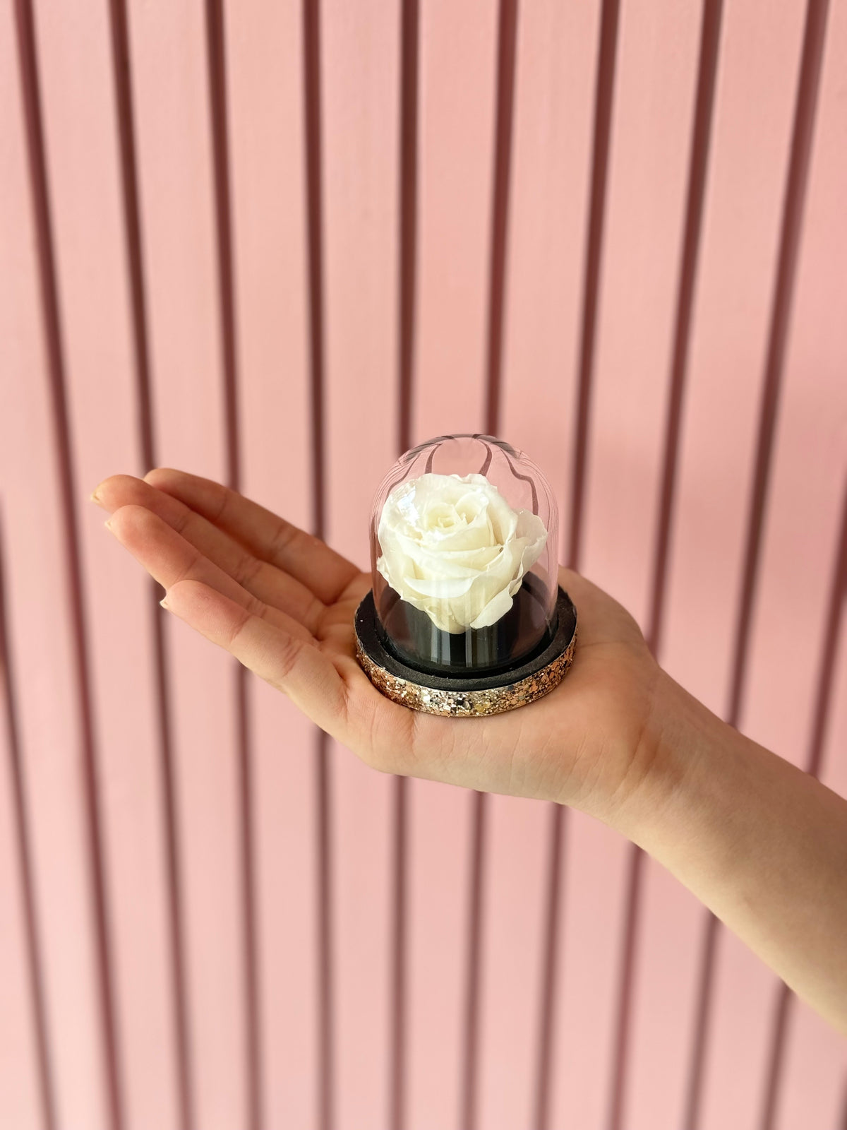 Preserved Mini White Rose | Top Flowers
