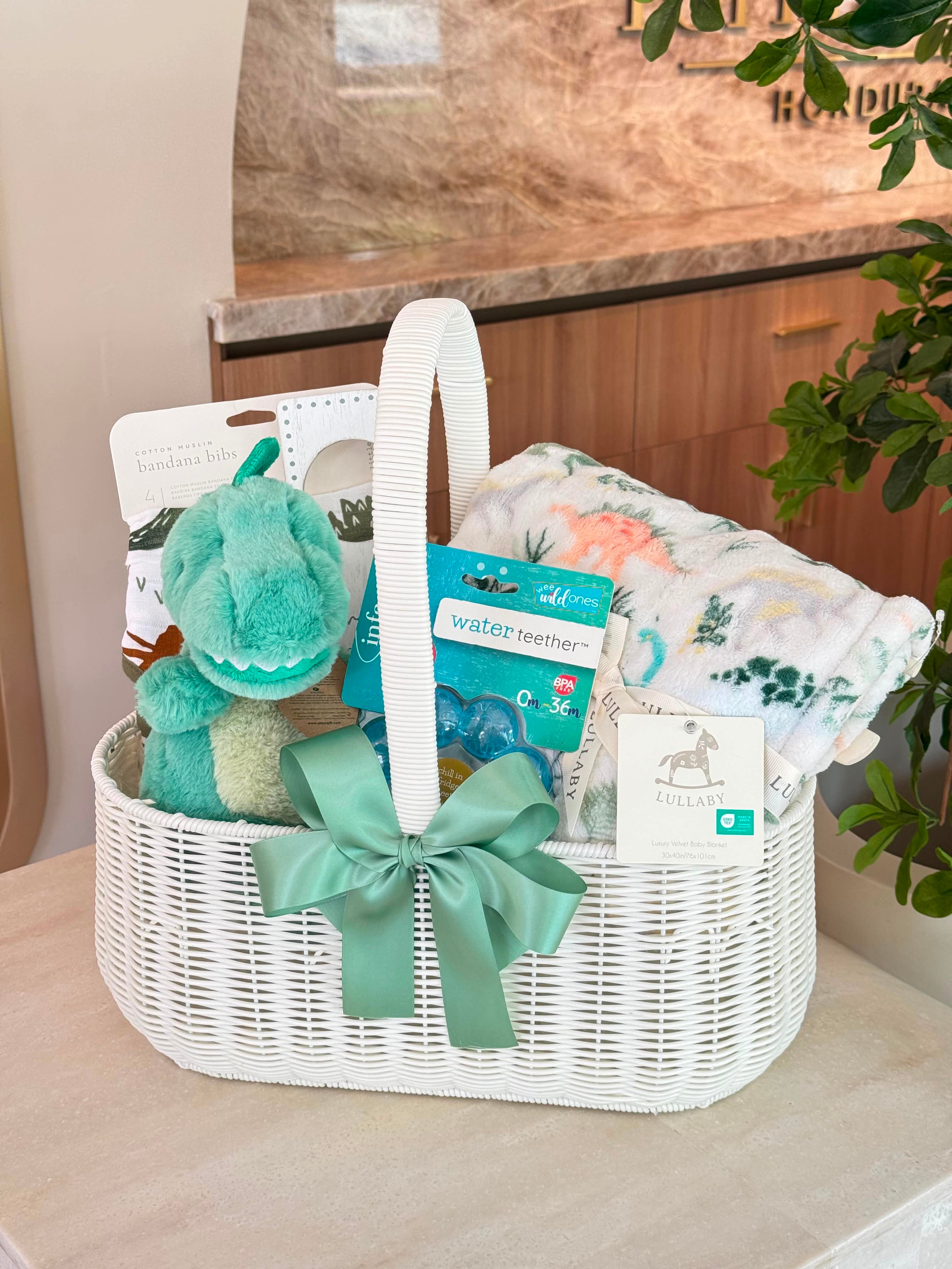 Little Dino Basket