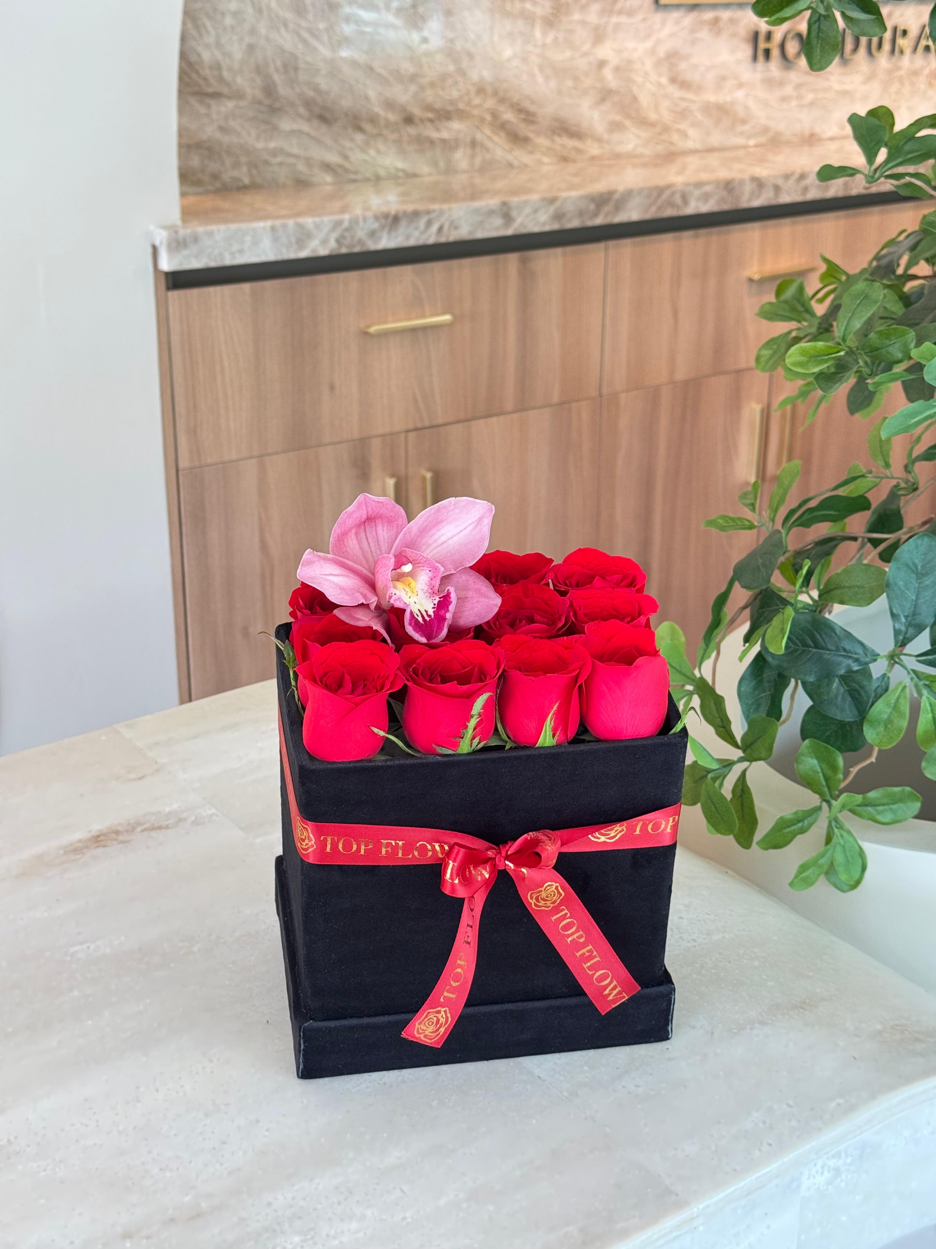 Classic Box (12) + Orchid