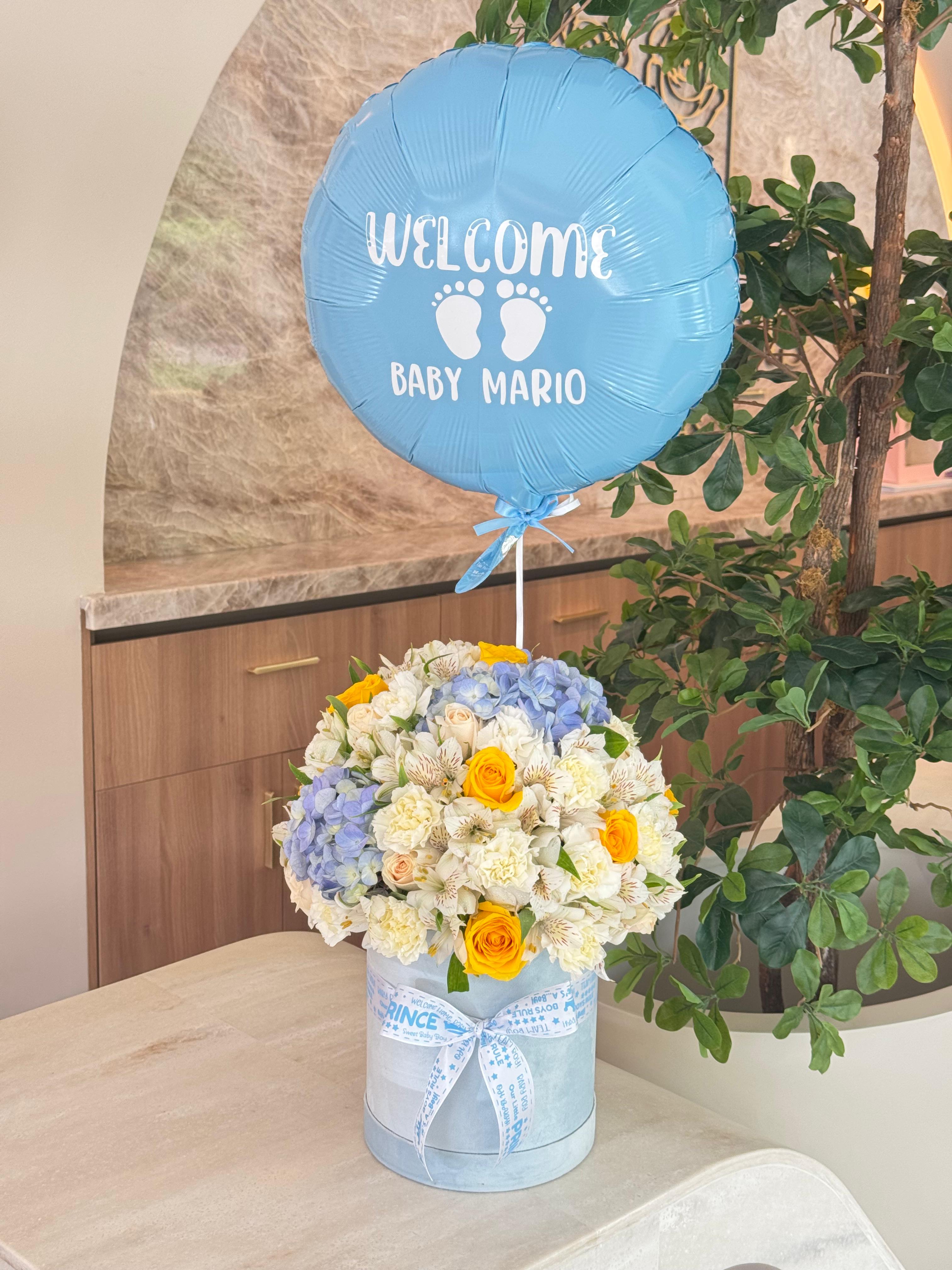 Hello Baby + Balloon