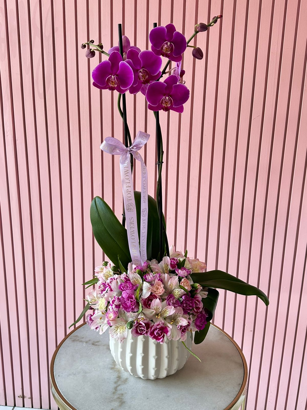 Orchids Favorite