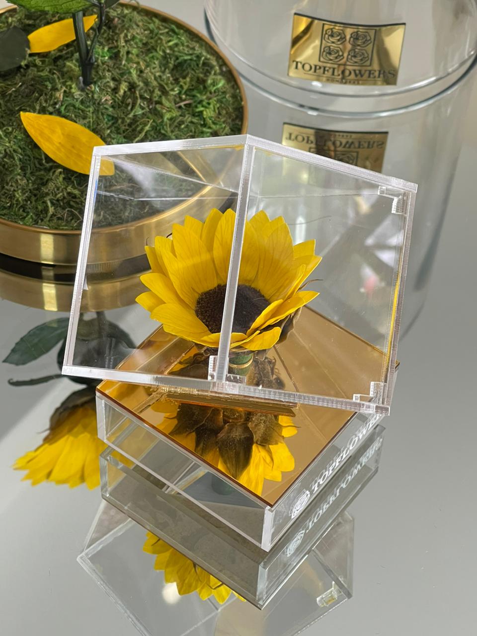 Gold Acrylic Sunflower